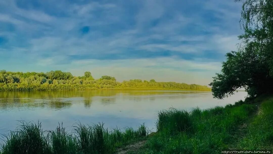 Уровень воды в реке днепр в лоеве. Река Днепр Лоев. Днепр в Лоеве. Лоев Гомельская область. Днепр Гомельская область.