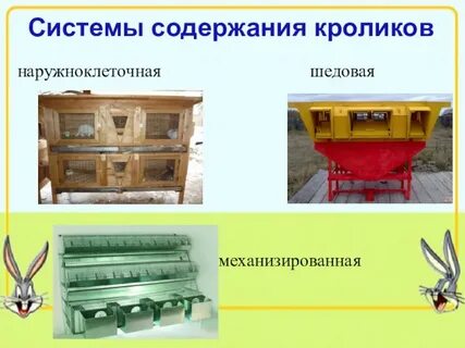 Тема содержать