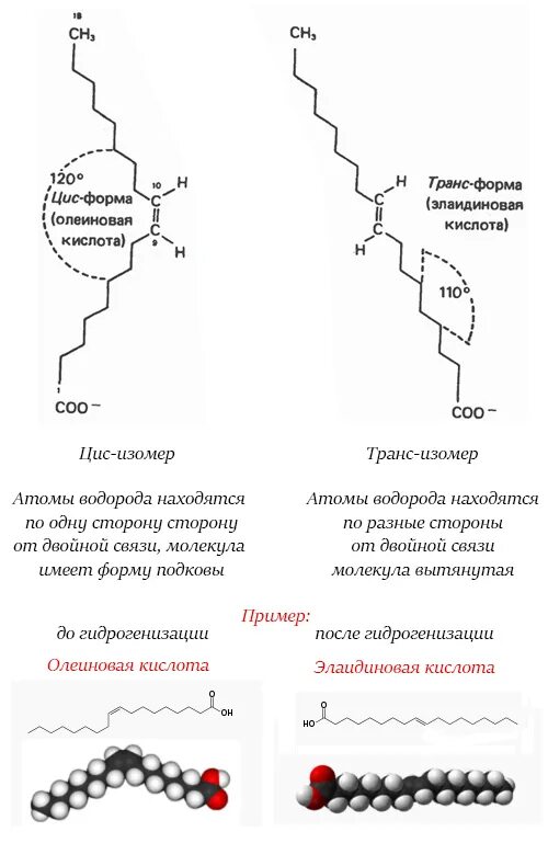Трансизомеры почему регламентируются. Цис и транс изомеры жирных кислот. Цис транс изомерия жирных кислот. Транс-изомеры ненасыщенных жирных кислот это. Цис изомер жирных кислот.