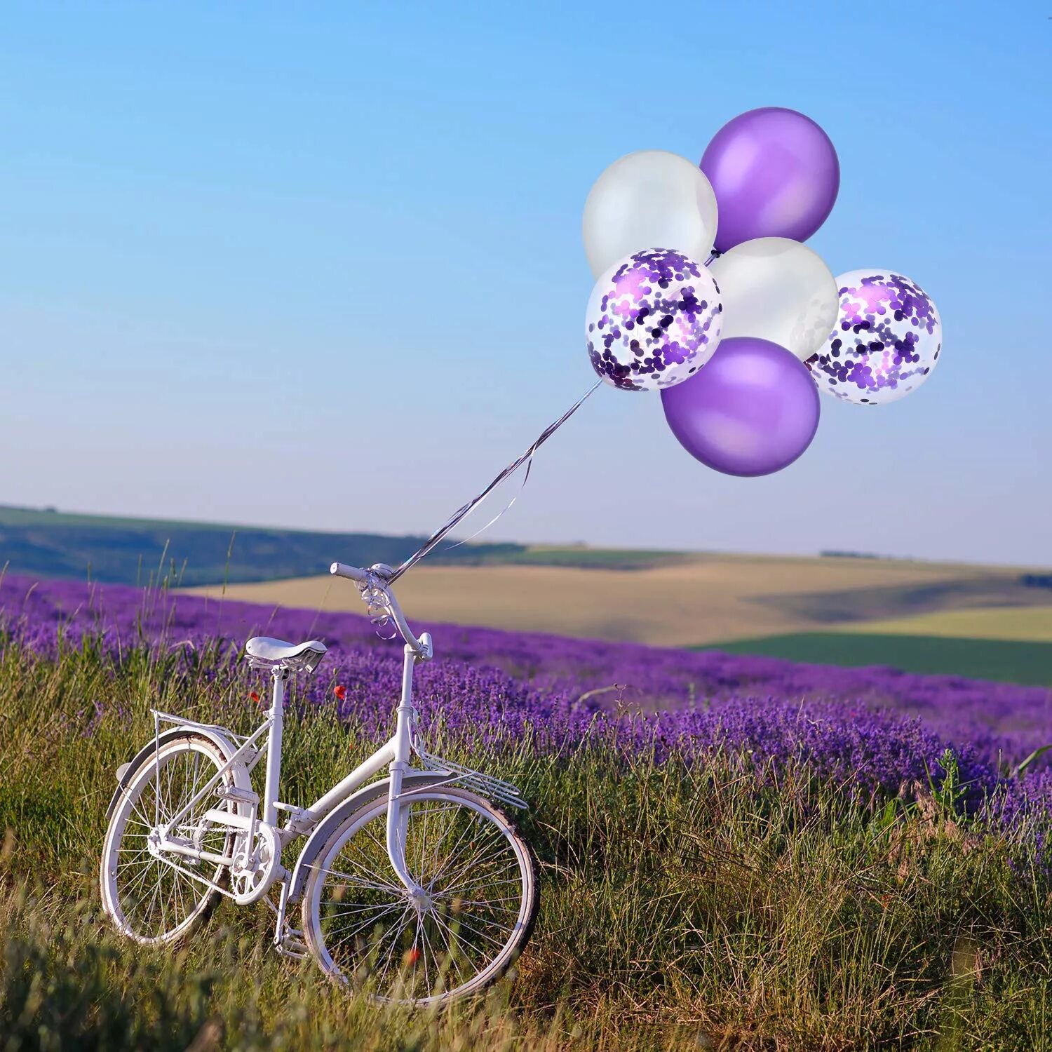 Фиолетовые цветы шарами. Воздушный шар фиолетовый. Фиолетовые воздушные шары. Сиреневые шары воздушные. Фиолетовый шарик.
