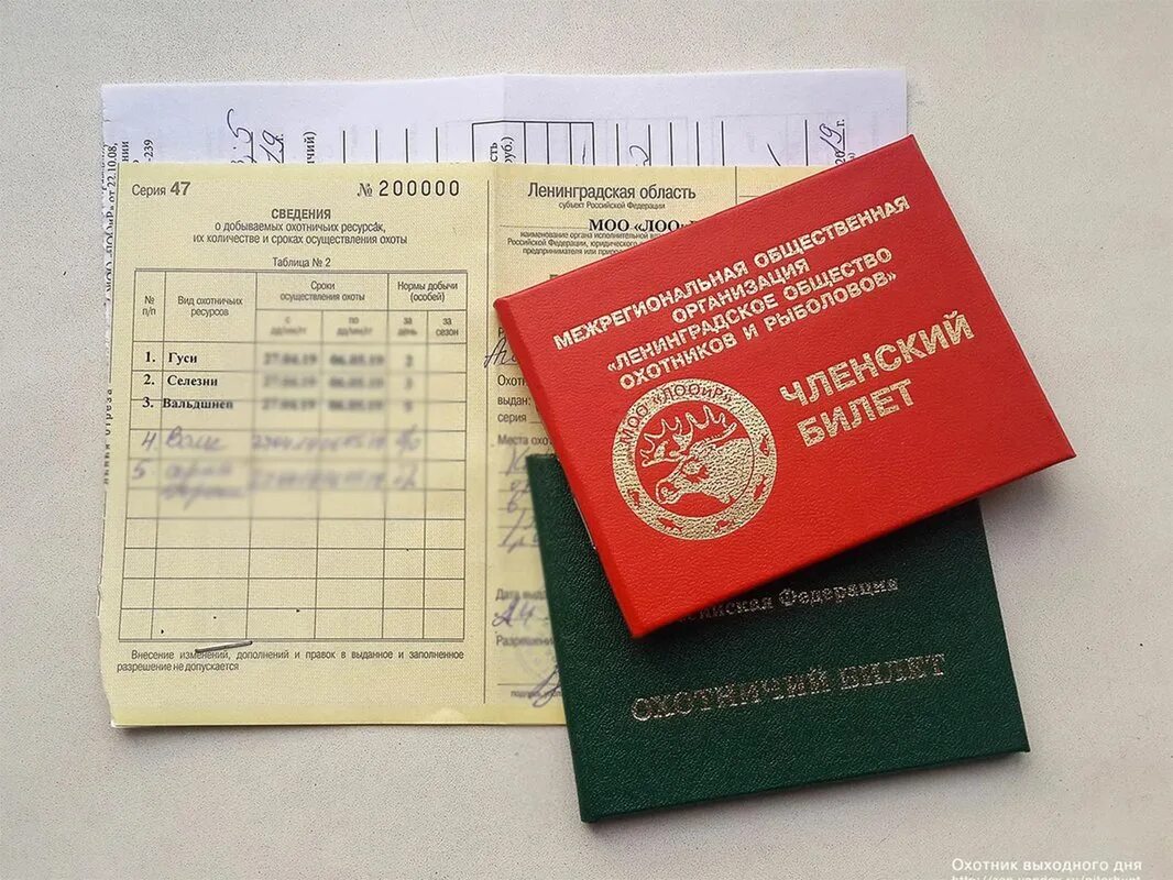 Разрешение на добычу охотничьих ресурсов. Разрешение на добычу охотничьих ресурсов в общедоступных охотничьих. как выглядит разрешение на добычу охотничьих ресурсов. разрешение на охоту. охотничий билет и разрешение на охоту.