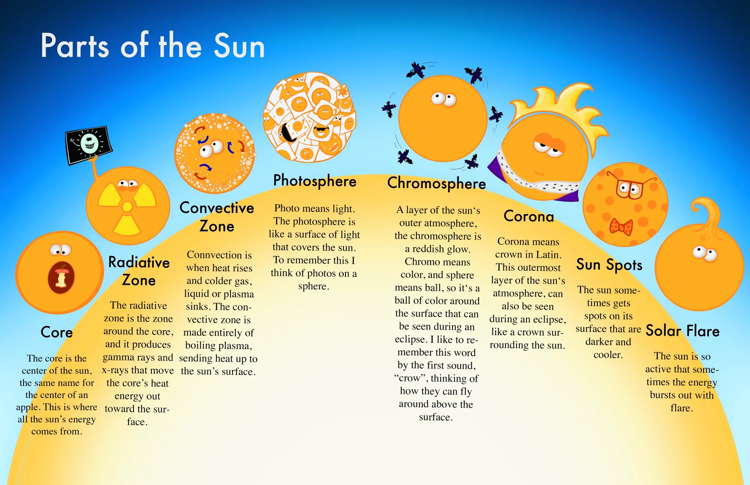 Как переводится солнечно. Sun structure. The Sun или Sun. Part of the Sun. Structure of photosphere of the Sun.