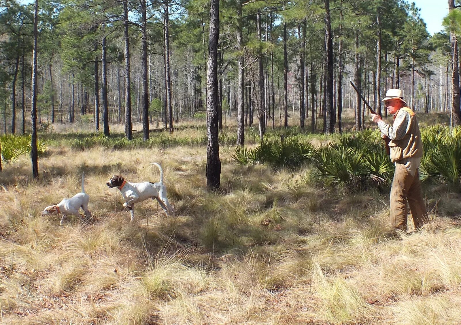 Bult hunting требования. Красотки на охоте. Hunting in the Forest. Hunt Comfort Fatboy охота. Хантинг расслабленность.