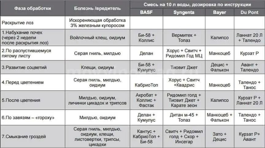 Баковые смеси весной. Схема обработки винограда весной. Схема обработки винограда от болезней. График обработки винограда. Схема обработки винограда от болезней и вредителей весной.