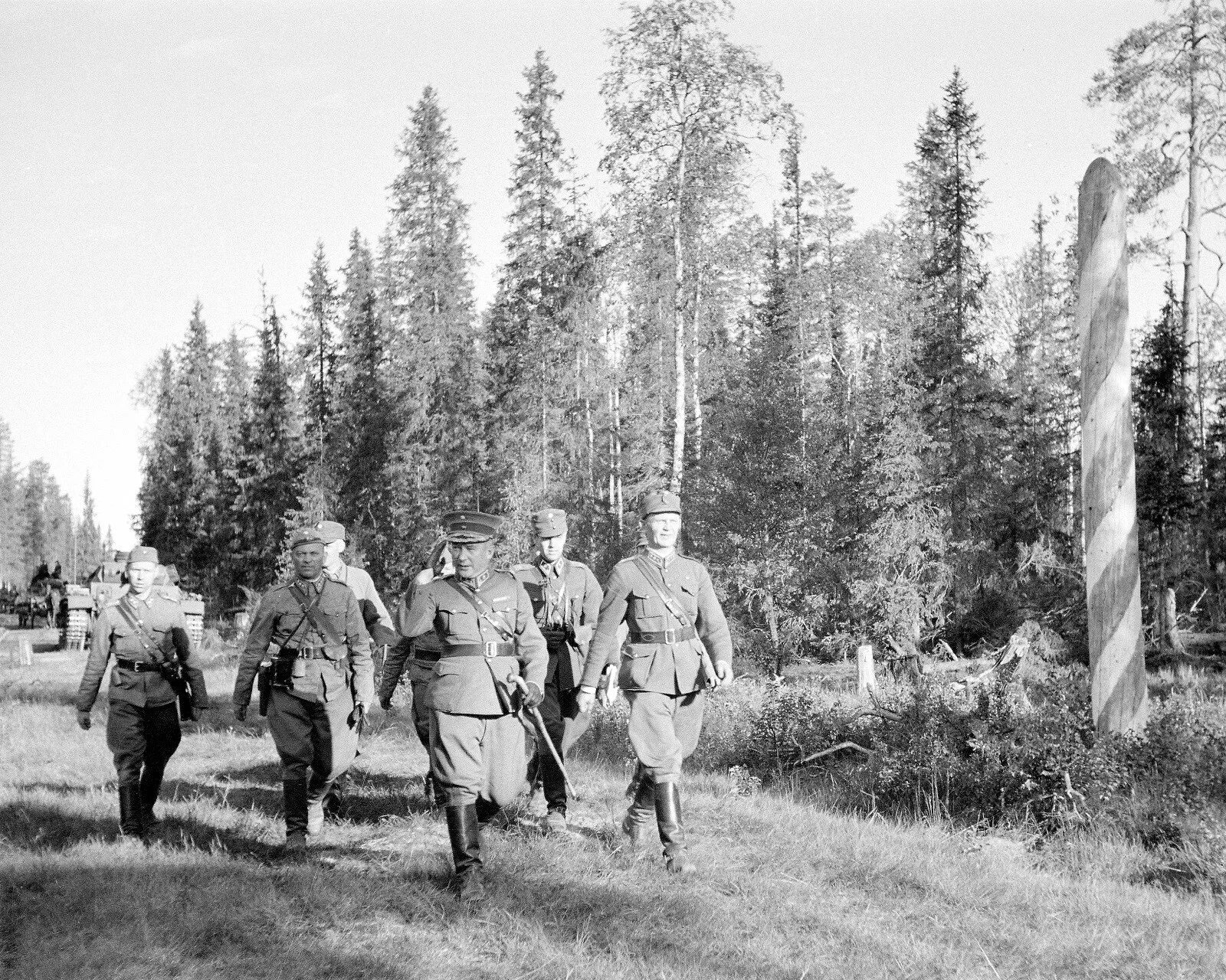 В карелии армейский. Карелия 1941. Финская армия 1941-1944.
