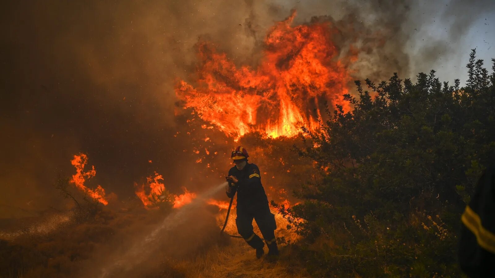 Лесные пожары на юге франции. Пожар в армении. Огонь пожар. Пожар в армении. Пожар во франции 2024.