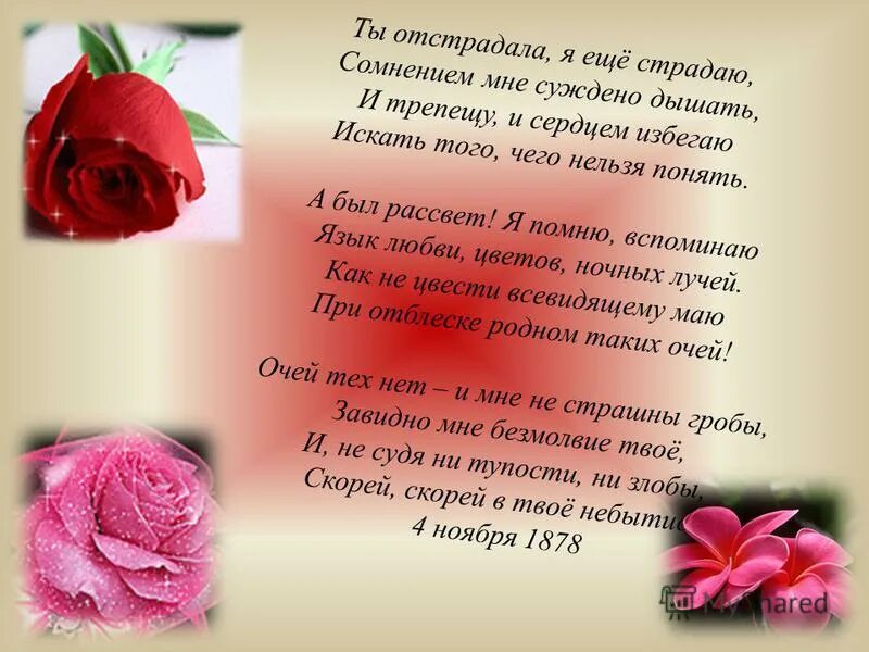 язык цветов любовь. стихотворение ты отстрадала я еще страдаю. стихотворение ты отстрадала я еще страдаю. ты отстрадала я еще страдаю. ты отсрадал а я еще сьрадаю.