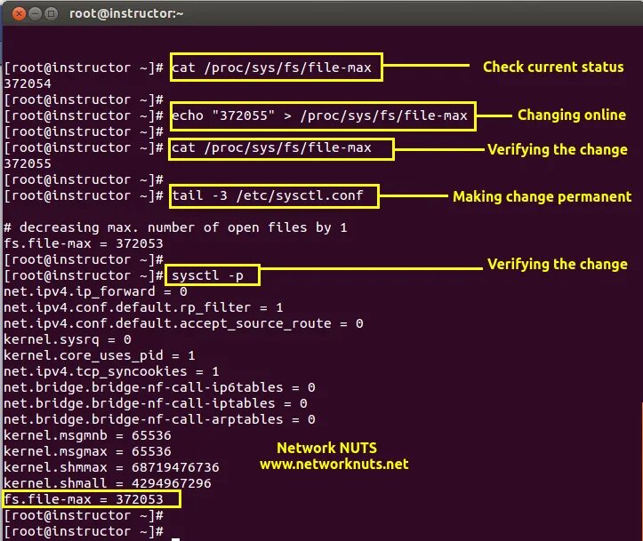 Расширение conf. Cat /proc/sys/net/ipv4/IP_forward. Sysctl игра. Max file. Net ipv4 forward