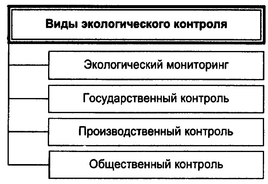 Система и методы экологического контроля схема. Понятия экологического контроля схема. Виды экологического надзора и контроля. Формы государственного экологического контроля. Понятие и виды государственного контроля