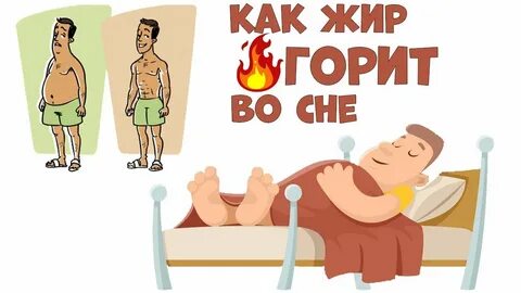 Сон жир