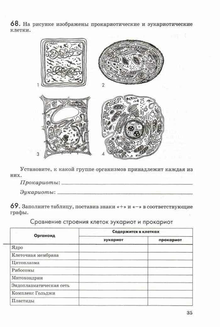 Биология 9 класс рабочая тетрадь Пасечник Каменский. Каменский Пасечник Швецов биология 9 класс. Биологии 9 класс рабочая тетрадь Пасечник страница 95. Биология 9 рабочая тетрадь Пасечник. Рабочая тетрадь ответы биология 9