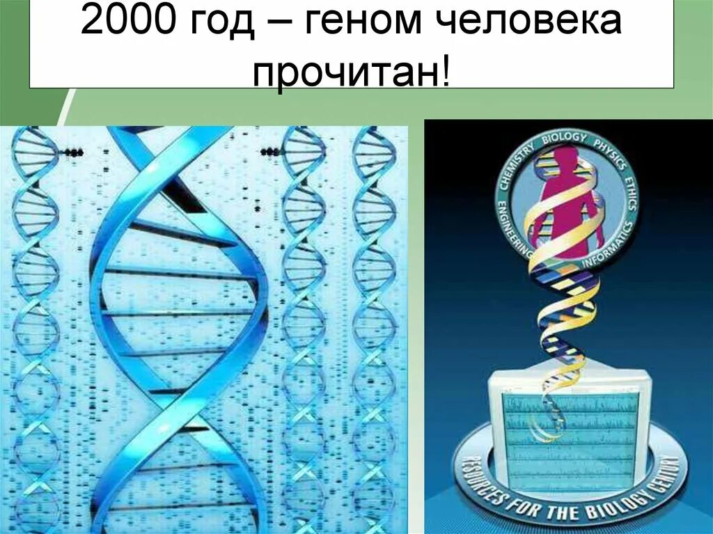 Геном человека. Проект геном человека. Международный проект геном человека. Программа геном человека.