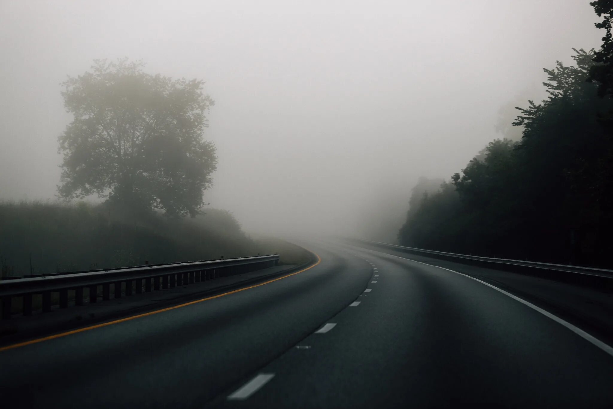 Трасса в тумане. Туманная дорога. Дождливая дорога. Лес туман дорога.