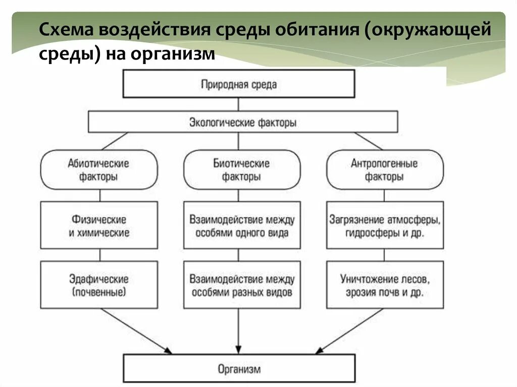 Естественные природные воздействия. Взаимосвязь экологических факторов схема. Схема экологические факторы. Факторы среды обитания человека. Схема воздействия среды обитания на организм.