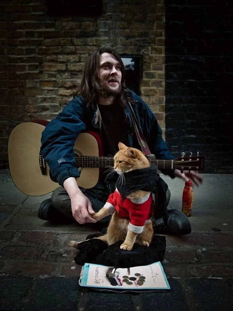 Джеймс боуэн. Джеймс боуэн 2023. Джеймс боуэн. Уличный музыкант и кот боб. Джеймс боуэн и боб.