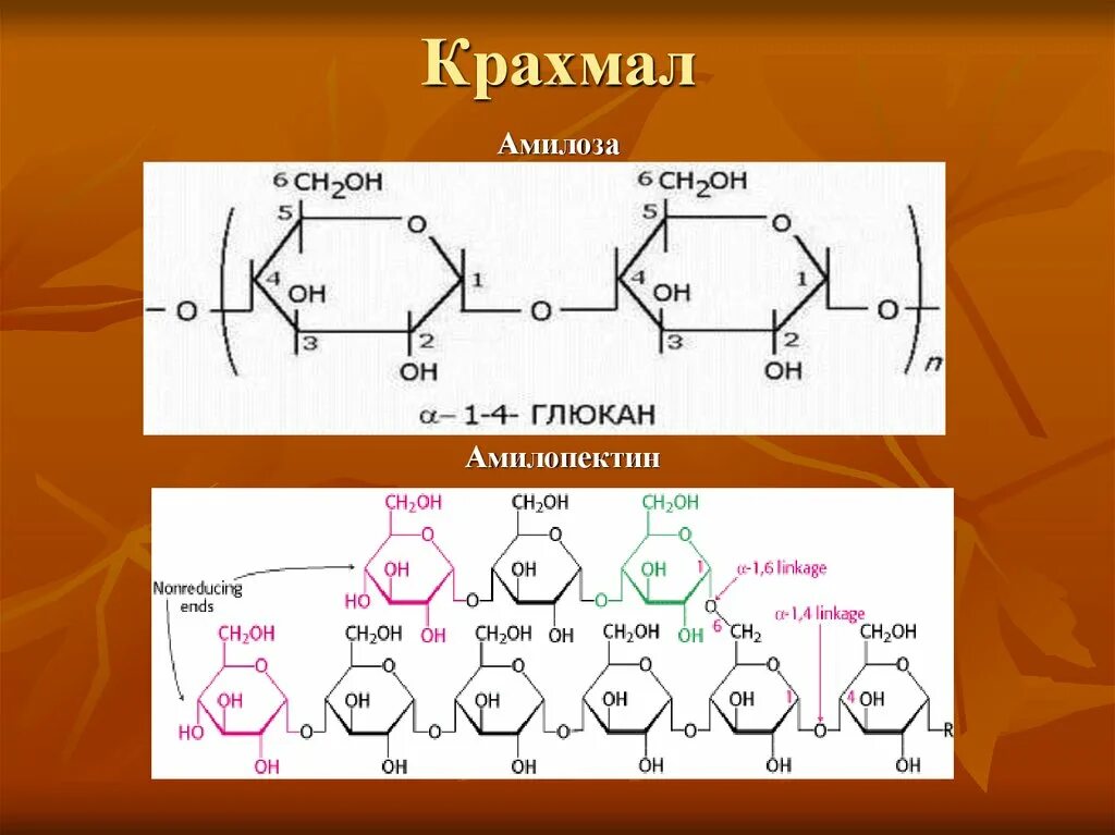 Строение крахмала амилоза и амилопектин. Амилопектин полисахарид. Амилоза крахмала формула. Структурная формула амилозы и амилопектина. Глюкоген