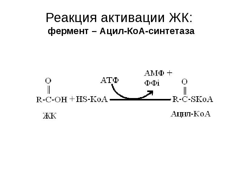 Реакция образования ацил КОА. Ацил-КОА-дегидрогеназа витамин. Ацил и ацетил КОА. Ацетил КОА В ацил ко а реакция. Превращение ацетил коа