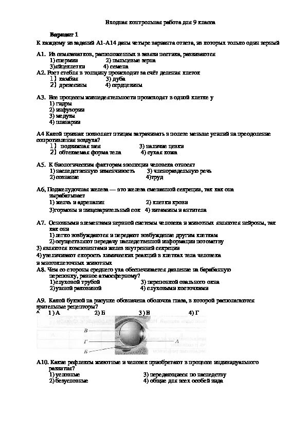 Контрольная работа по теме органы чувств анализаторы. Контрольные задания по биологии 9 класс. Контрольная работа контрольная по биологии 9 класса. Биология 9 класс 2 четверть контрольная. Проверочные работы по биологии 9 класс.