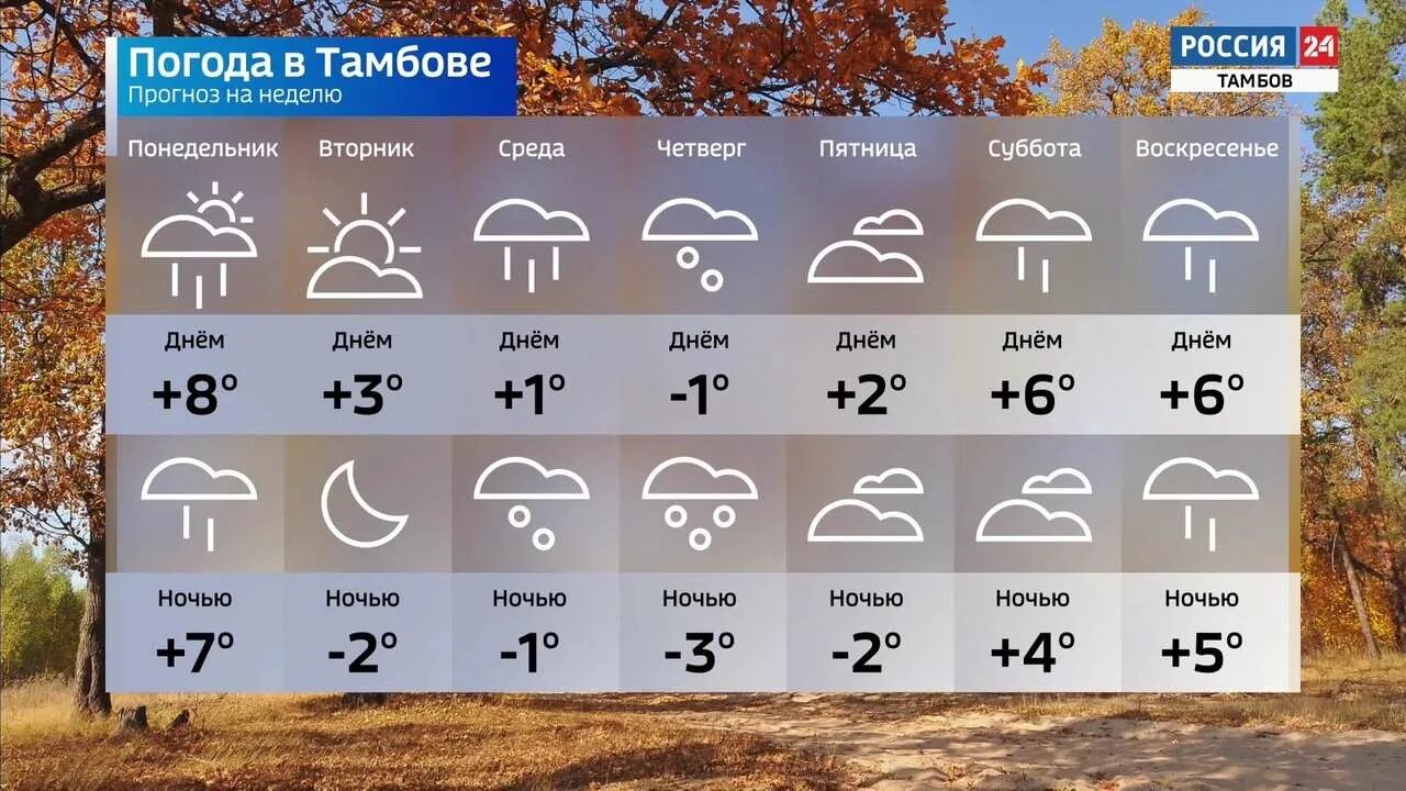 Погода в тамбове на 5 дней. Прогноз погоды в тамбове. прогноз погоды в тамбове на неделю. прогноз в тамбове на неделю. погода в рассказово на неделю.