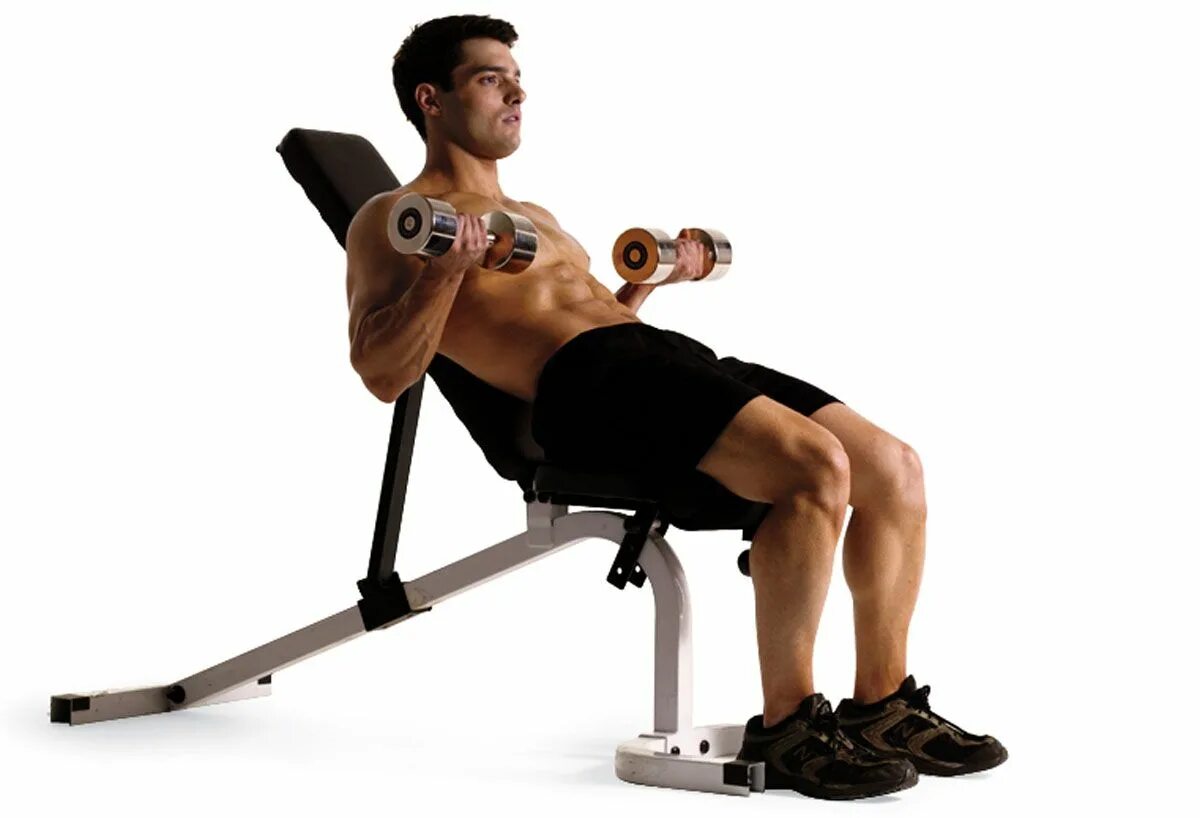 Incline Bench Dumbbell Curl. Incline Barbell Curl. Seated Incline Curls. Incline Bicep Curl.