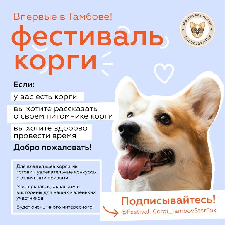 Фестиваль корги спб 2024. Фестиваль корги в спб. Фестиваль корги спб 2024. Коргивин 4. Битва жизнь с корги.