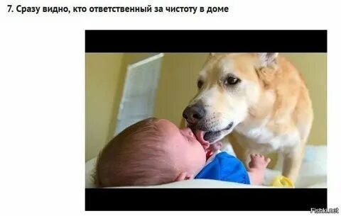 Мем собака и ребенок