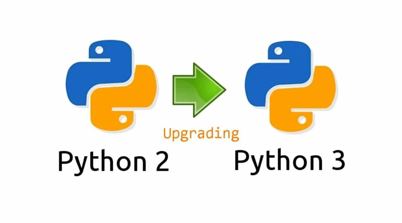 Python. Python 2. Python 3. Питон 2.0. Second python