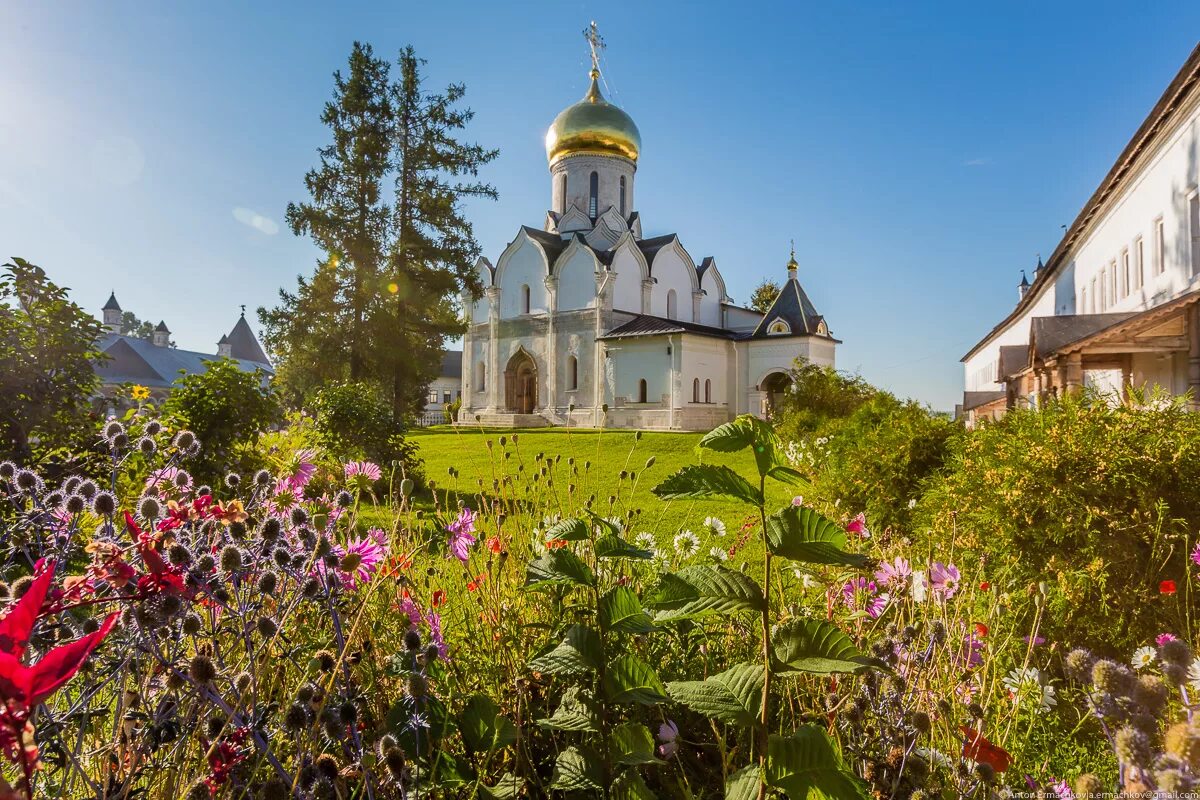 Саввино-Сторожевский монастырь. Сторожевский монастырь в Звенигороде. Саввино-Сторожевский монастырь. Звенигород, Московская область. Саввино Сторожевский монастырь лето. Свято сторожевский монастырь