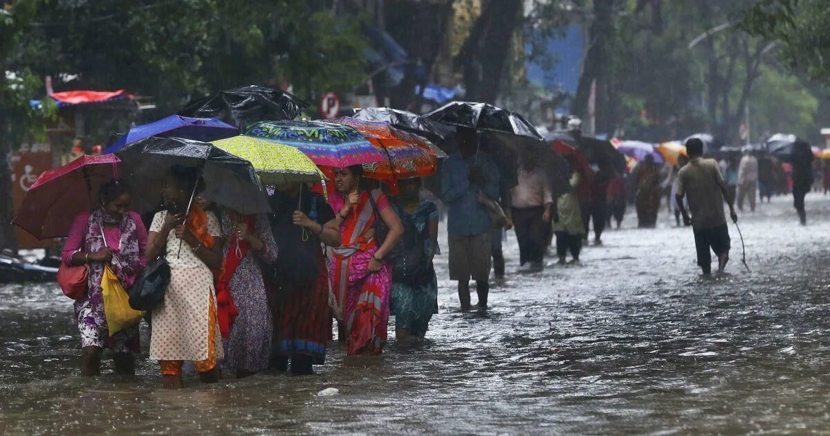 Край муссонов. Маусинрам Индия. Муссонные дожди в Индии.