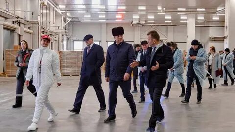 Мир тендеров