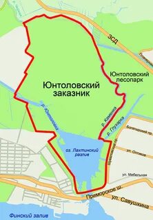 Юнтоловский заказник