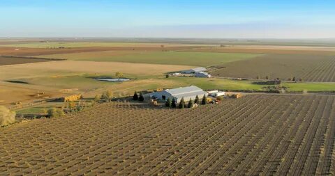 Lot farm