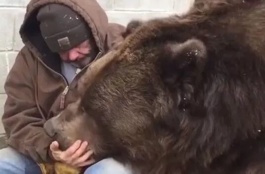 Мужчина медведь видео. Джим Ковальчик и 22-летний медведь Джимбо.