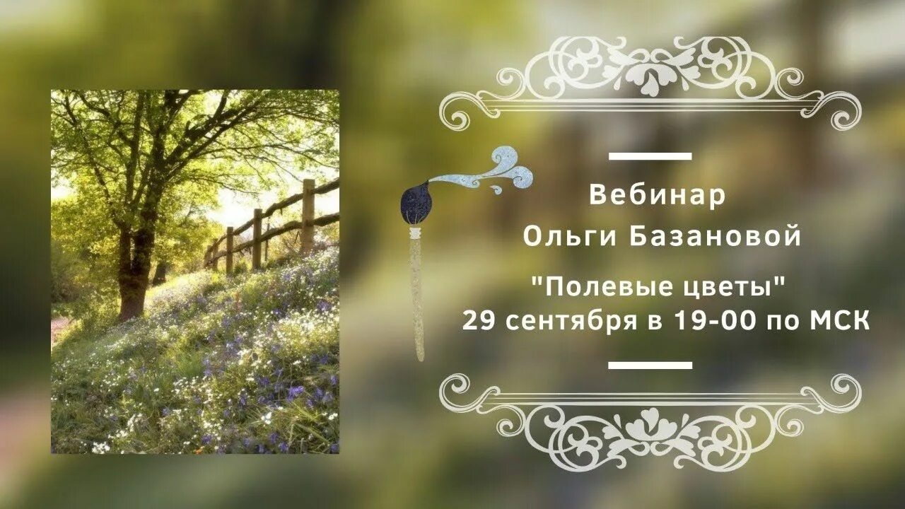 Закрытые вебинары ольги базановой. Вебинар ольги базановой. Ютуб вебинар ольги базановой. Вебинар ольги базановой на ютубе. Ютуб вебинар ольги базановой.