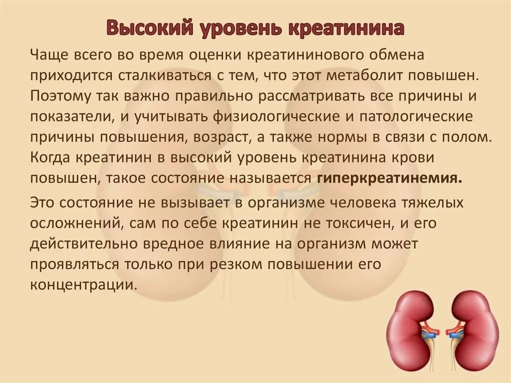 Почки повышенный креатинин