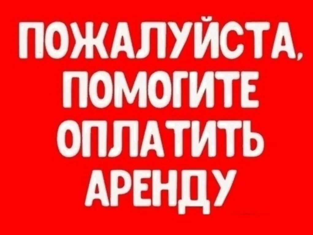 Собрать на передержку. Помогите оплатить передержку собак. Помогите оплатить передержку. Помогите оплатить. Помогите в оплате передержки.