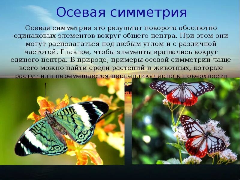 Сообщение симметричные