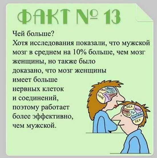 Доклад про мозг человека. Интересные факты о человеческом мозге. Факты о головном мозге человека. Интересная информация о мозге. Интересные факты о головном мозге.