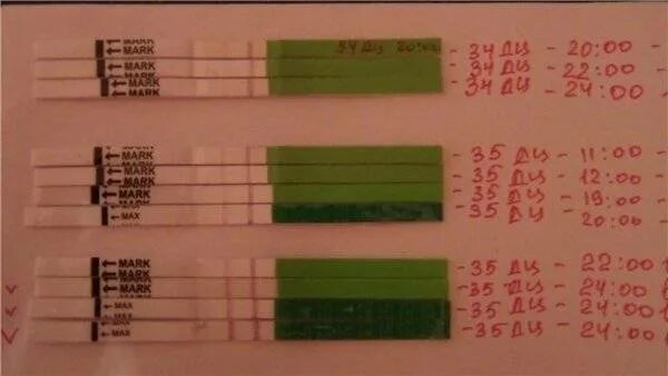 Тест на овуляцию при беременности. Поздняя овуляция тесты. Тест на беременность при поздней овуляции. Поздняя овуляция на тесте. 26 день цикла можно забеременеть