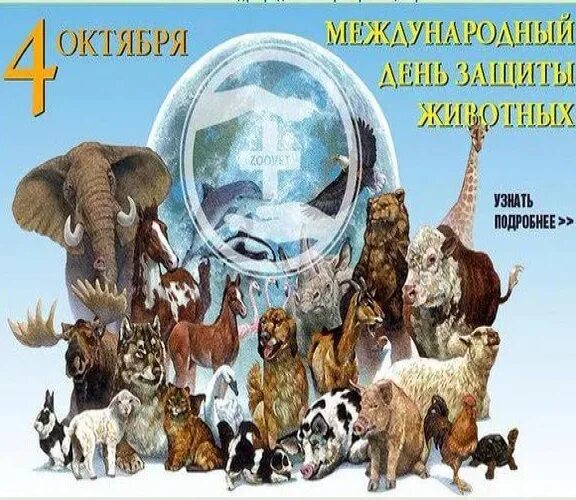 3 апреля день животных. День животных. 4 октября день животных. всемирный день защиты животных (world animal day) поздравления. фотозона всемирный день животных.