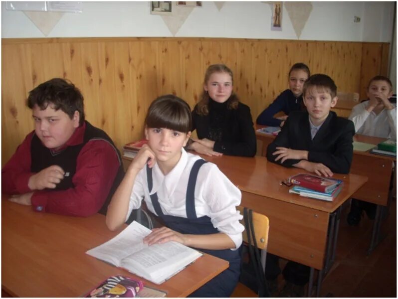 Мое любимое залесова