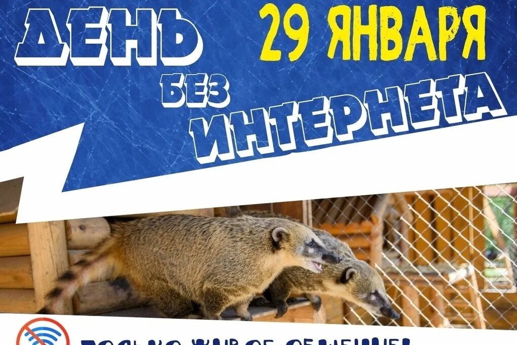 26 января международный день без интернета. Мероприятия ко дню без интернета 30 января 2023. Международный день без интернета акция. Международный конкурс «день без интернета». 31 января день без интернета 2021 международный.