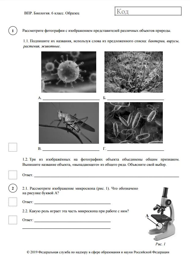 Задание впр 6 класса вариант 1. Впр 5 класс биология задание 6. впр по биологии 5 класс 2025 с ответами. биология 6 класс пономарева впр. впр по биологии 6 класс 5 вариант с ответами.