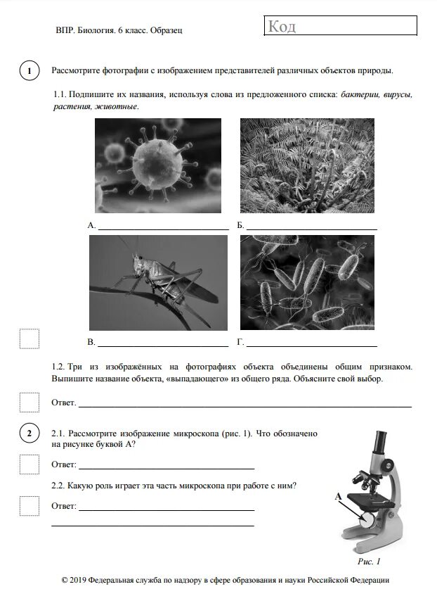 Впр по биологии 6 класс. ВПР 5 класс биология задание 6. ВПР по биологии 5 класс 2021 с ответами. Биология 6 класс Пономарева ВПР. ВПР по биологии 6 класс 5 вариант с ответами.