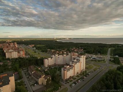 Какая погода в сосновом бору