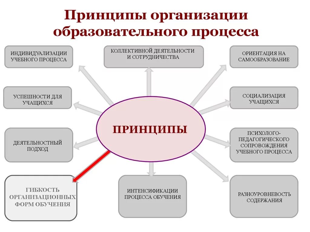 Урок форма организации учебного процесса. Схема по педагогике принципы обучения. Формы организации учебного процесса схема. Классификация форм организации педагогического процесса. Принципы организации педагогического процесса.