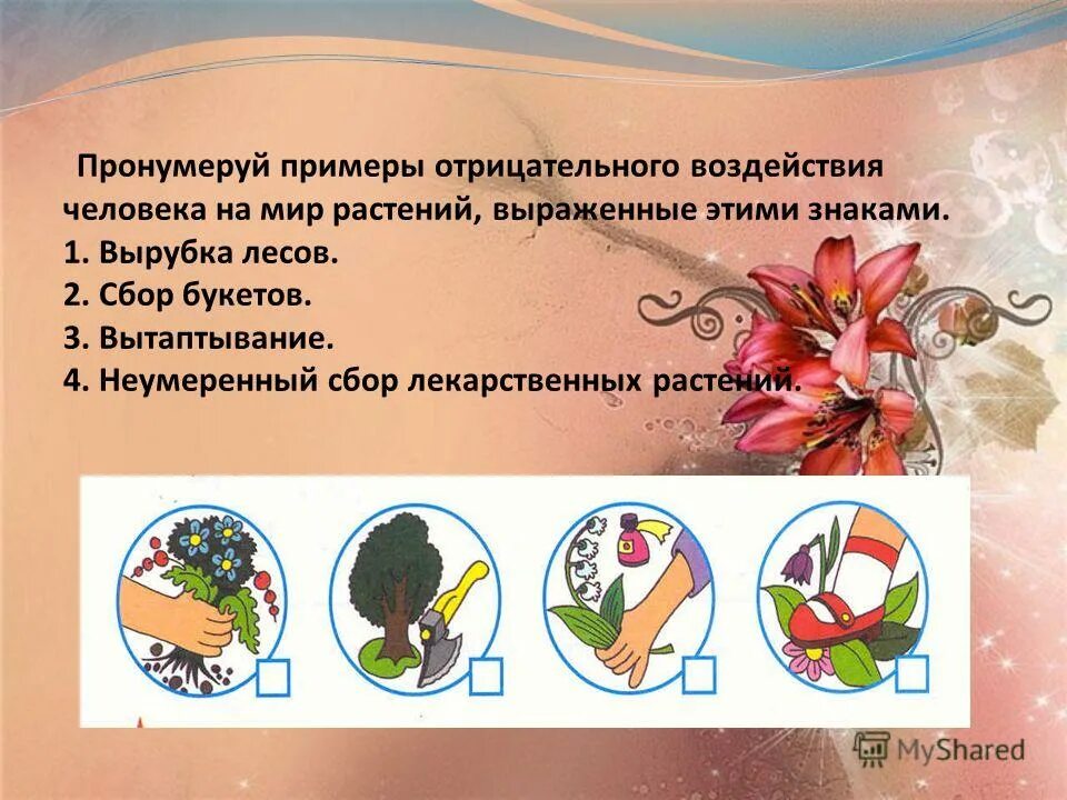 Примеры отрицательного влияния человека на животных. Негативное влияние человека на растения. отрицательное воздействие человека на растения. положительное воздействие человека на растения. отрицательное воздействие человека на растительный мир.