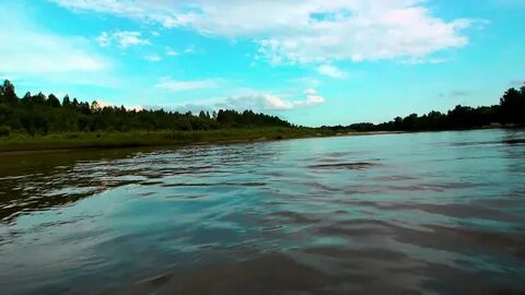 Уровень чумыша в заринске