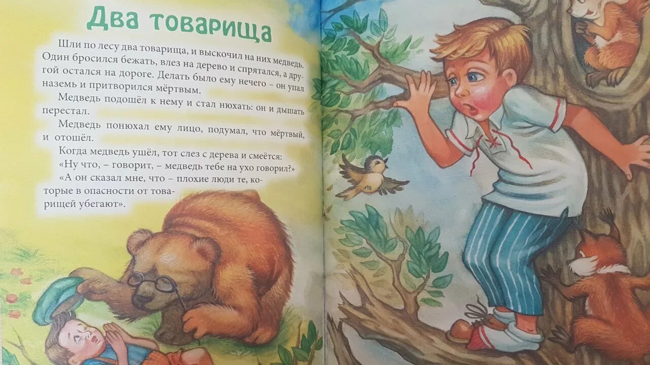 Товарищ убежать. Л Н толстой два товарища. Рассказ два товарища. Рассказ два товарища толстой. Иллюстрация к басне два товарища.