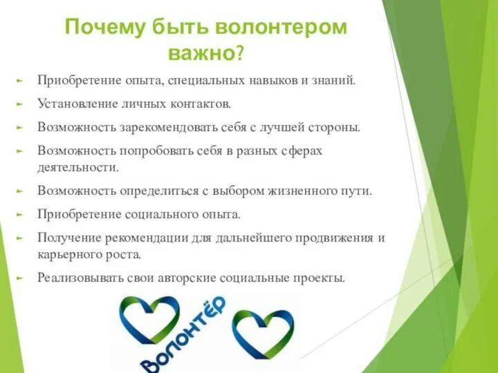 Осуществляет меры по поддержке волонтерской деятельности